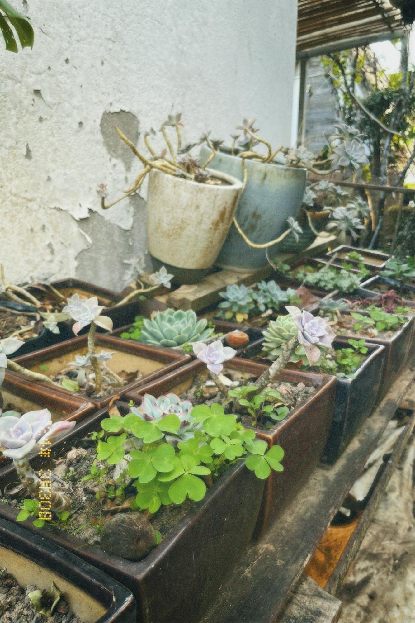 Ferienwohnung Nap Đà Lạt Exterior foto